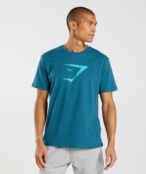 Men's Gymshark Sharkhead Infill T-Shirts Turquoise | NZ 1TSGHC